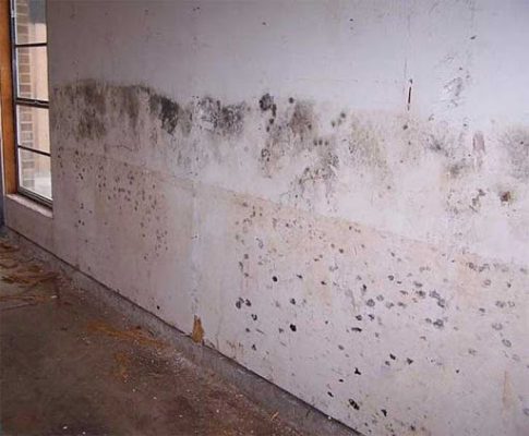 infiltração na parede patologia da construção civil infiltração na parede patologia da construção civil